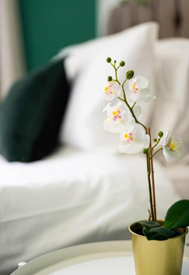 Comfortable House In Nuneaton Sleeps5 Free Parking Good Amenites Eksteriør bilde